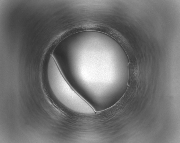X0000073900732200608110935