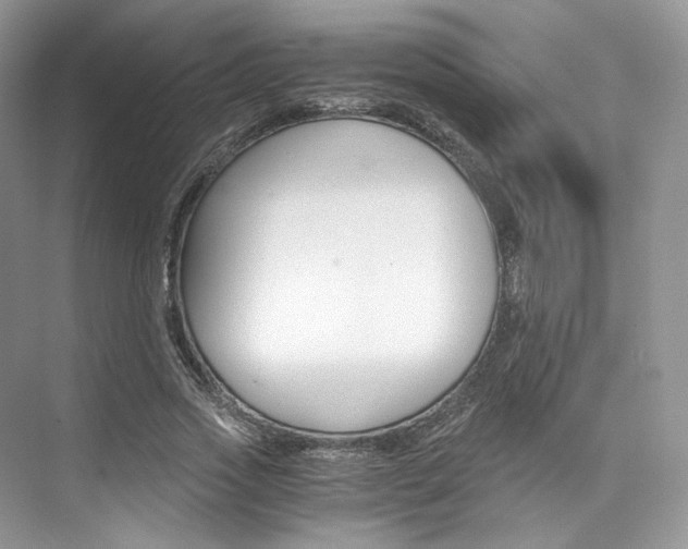 X0000073900733200608110935