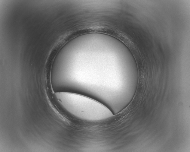X0000073900734200608110935