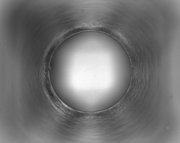 X0000073900736200608110935