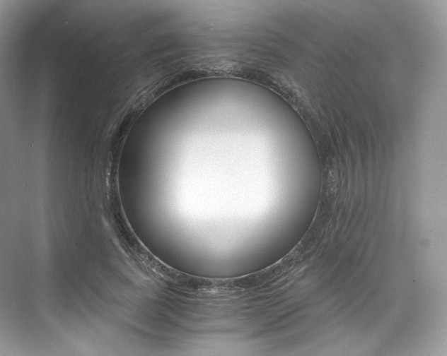 X0000073900739200608110935