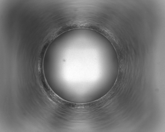 X0000073900740200608110935