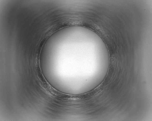 X0000073900741200608110935