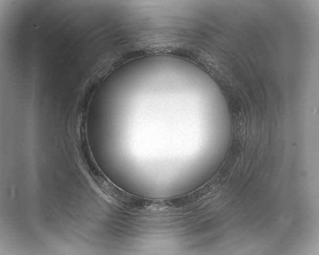X0000073900742200608110935