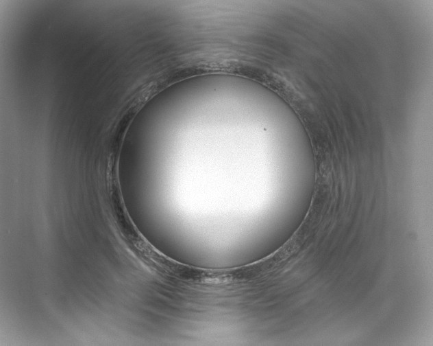 X0000073900744200608110935