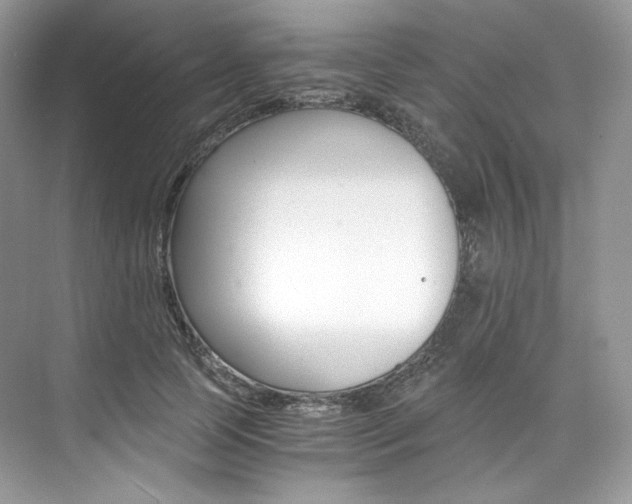 X0000073900745200608110935