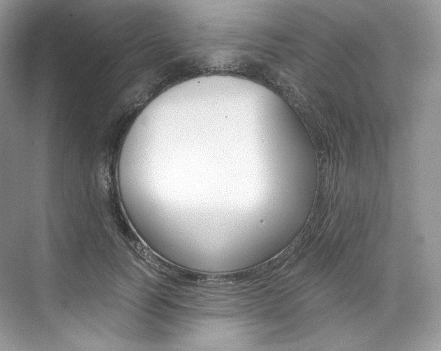 X0000073900746200608110935