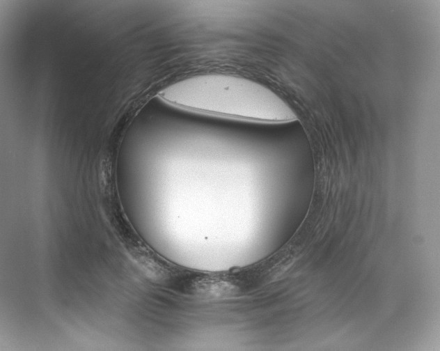 X0000073900747200608110935