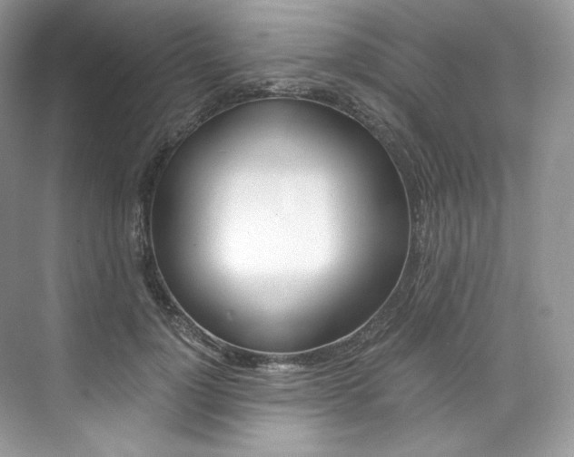 X0000073900748200608110935