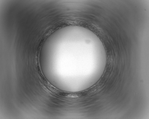 X0000073900749200608110935