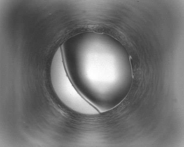 X0000073900750200608110935