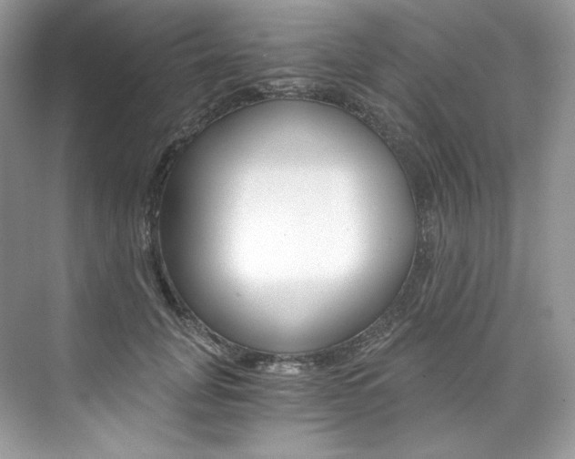 X0000073900751200608110935