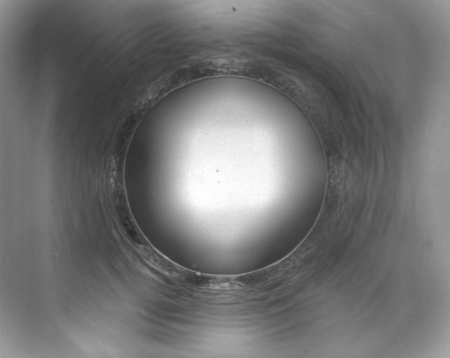X0000073900752200608110935