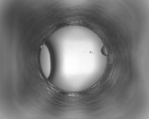 X0000073900753200608110935