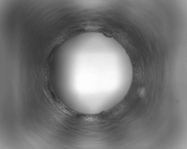 X0000073900755200608110935