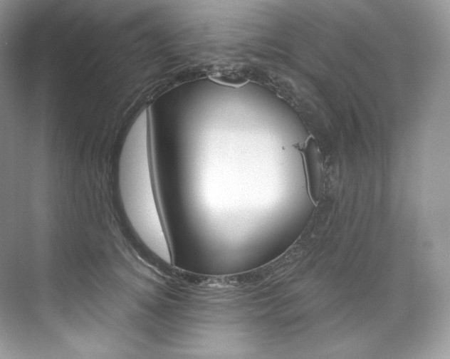 X0000073900756200608110935