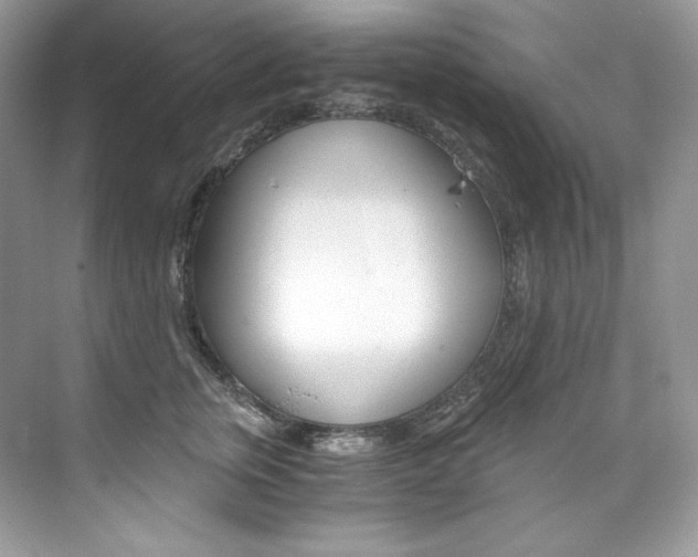 X0000073900759200608110935
