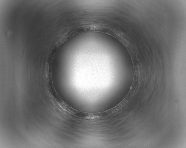 X0000073900760200608110935