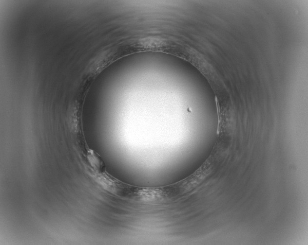 X0000073900762200608110935