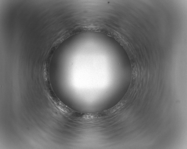 X0000073900764200608110935
