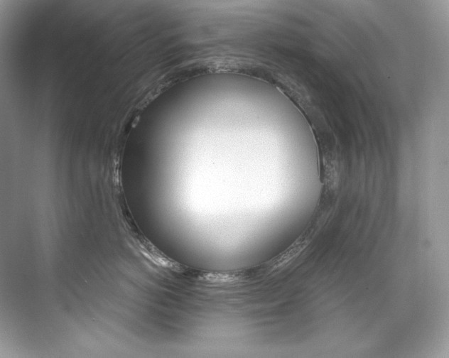 X0000073900766200608110935