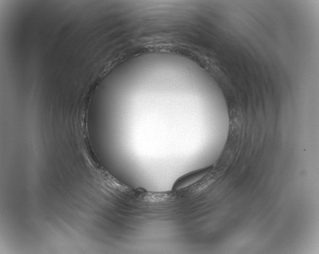 X0000073900767200608110935