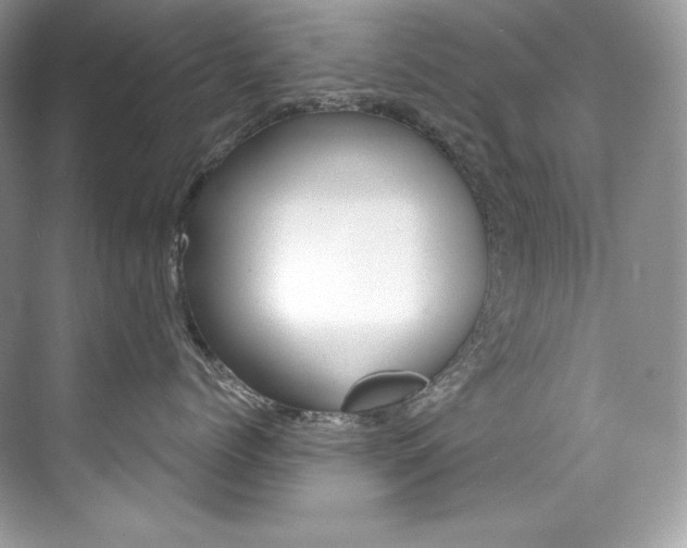 X0000073900768200608110935