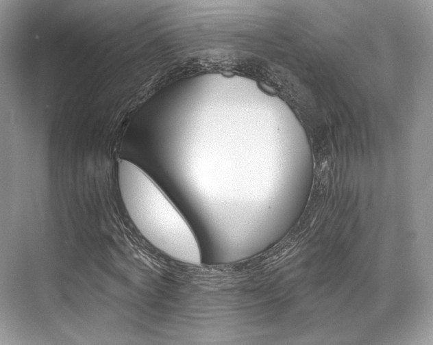 X0000073900772200608110935