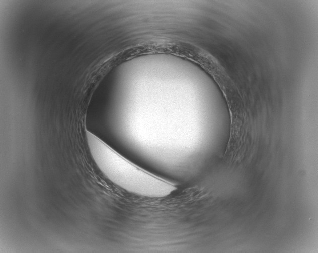 X0000073900773200608110935