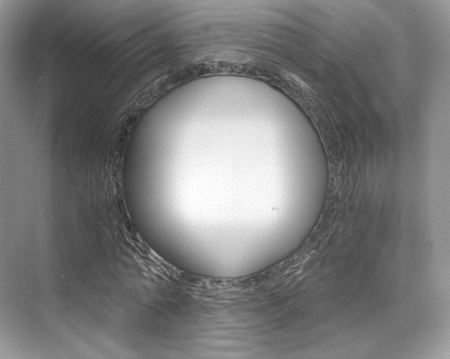 X0000073900774200608110935