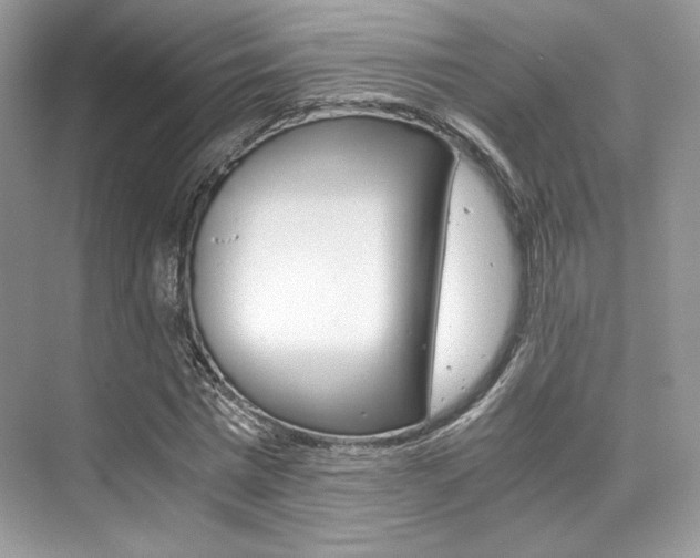 X0000073900777200608110934