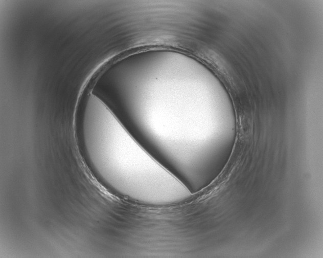 X0000073900780200608110934
