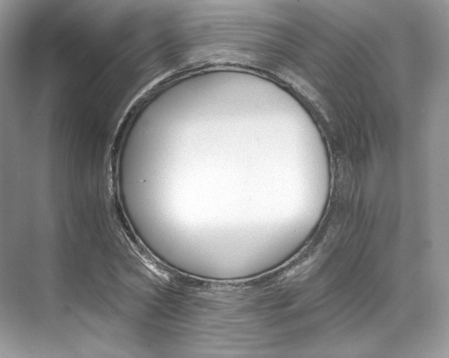 X0000073900782200608110934