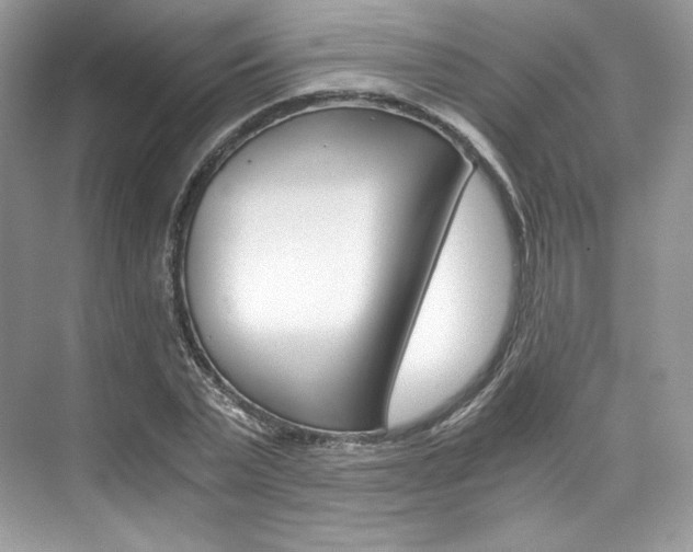 X0000073900783200608110934