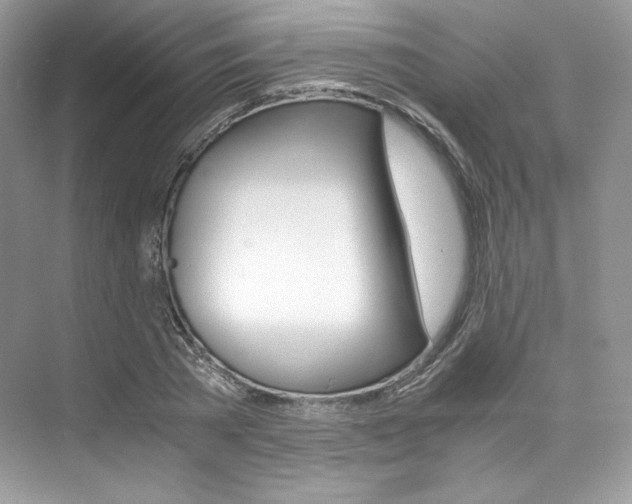 X0000073900785200608110934