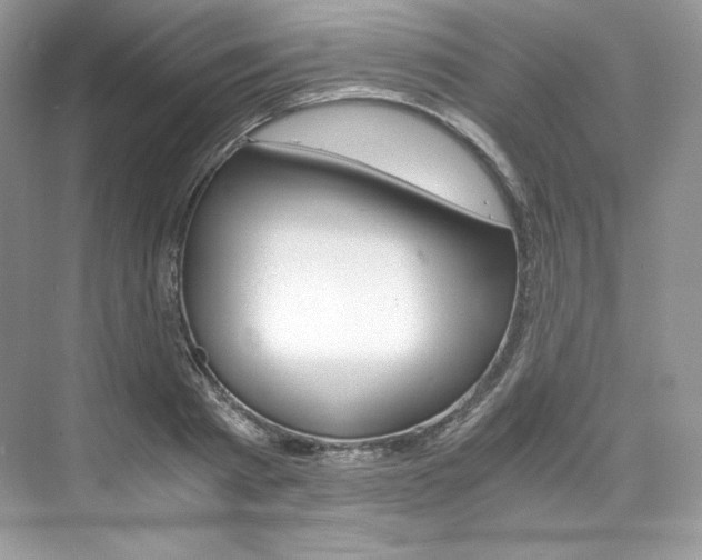 X0000073900793200608110934