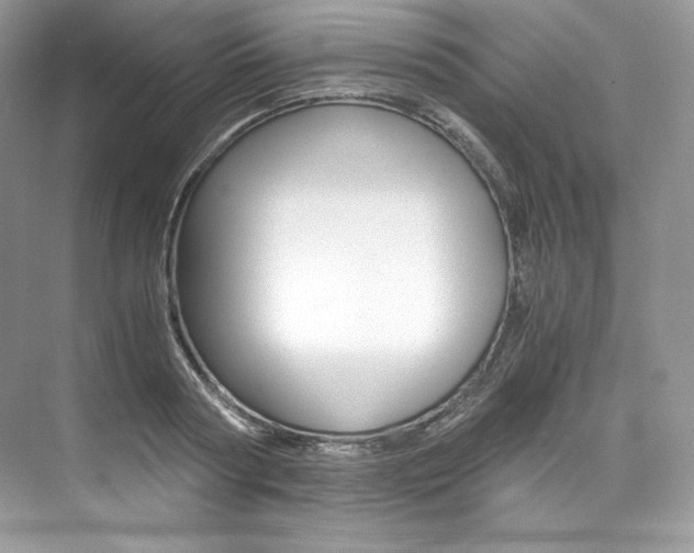 X0000073900794200608110934