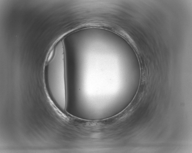 X0000073900795200608110934