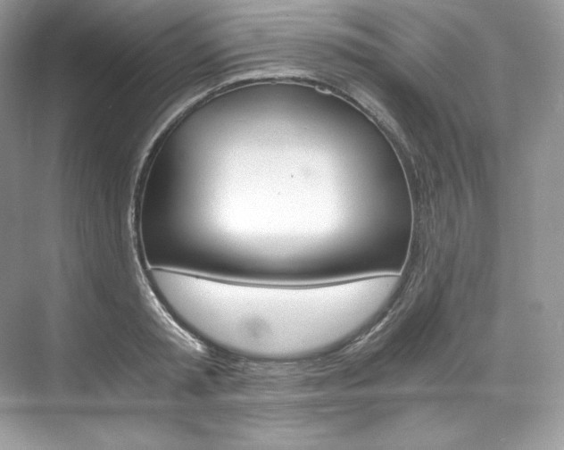 X0000073900797200608110934