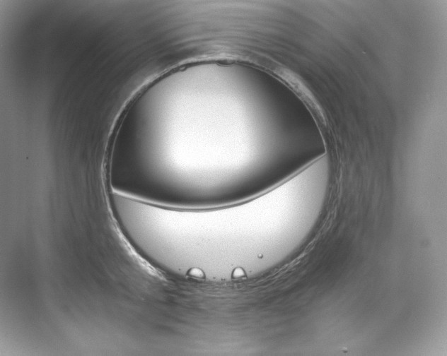 X0000073900805200608110934