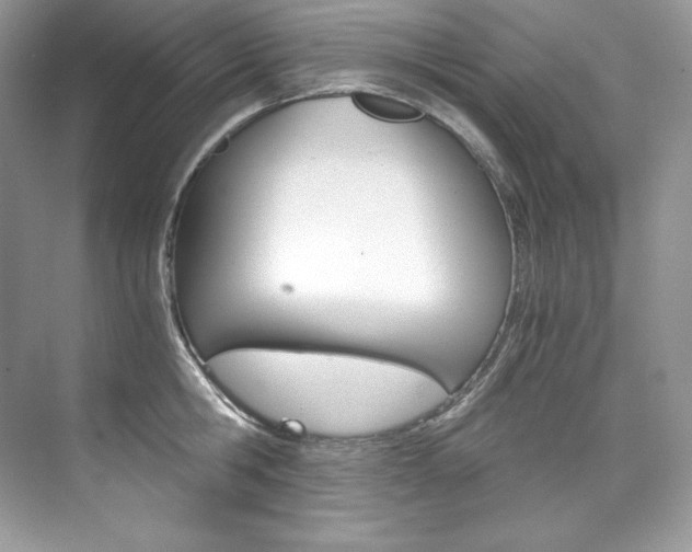 X0000073900806200608110934