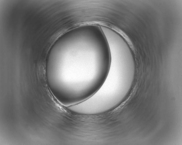 X0000073900809200608110934