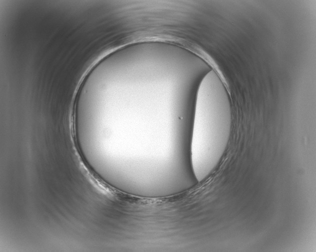 X0000073900811200608110934