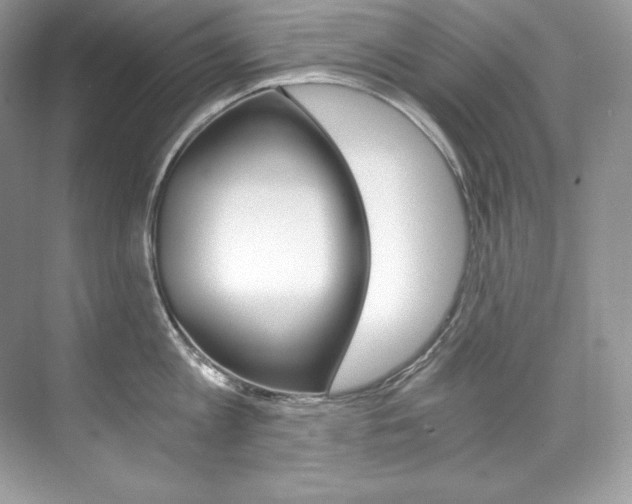 X0000073900813200608110934