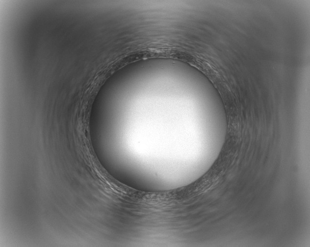 X0000073900817200608110933