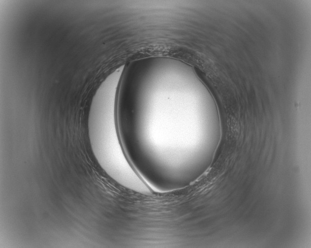 X0000073900818200608110933