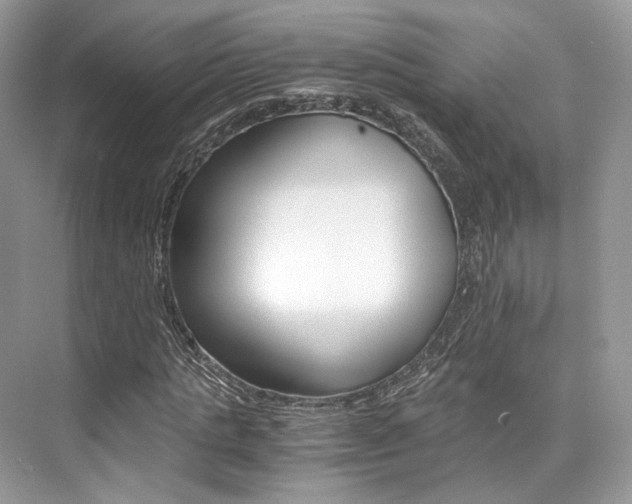 X0000073900821200608110933