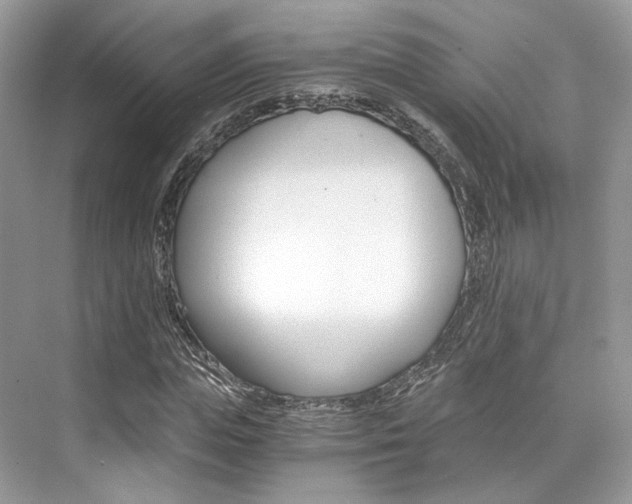 X0000073900823200608110933
