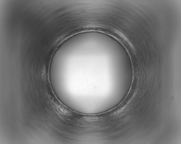X0000073900825200608110933