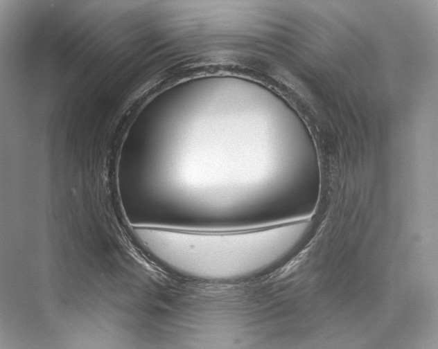 X0000073900826200608110933